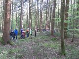 Maibaum_2016 (53).JPG